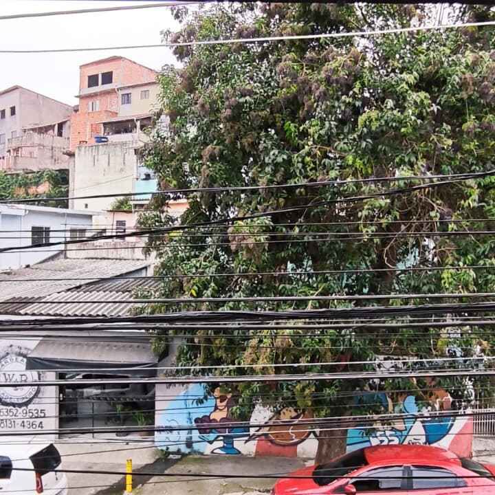 Imagem da publicação