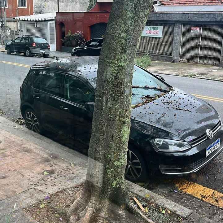 Imagem da publicação