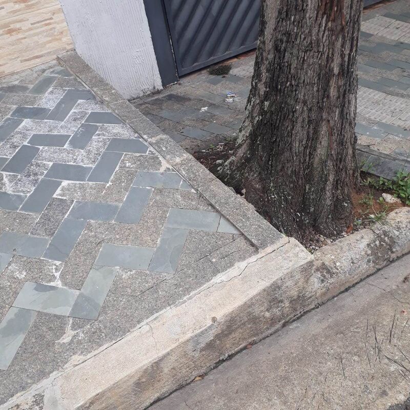 Imagem da publicação