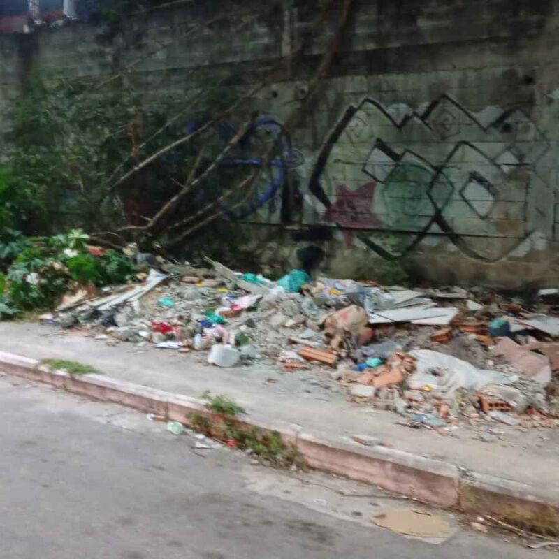 Imagem da publicação
