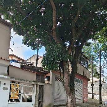 Imagem da publicação