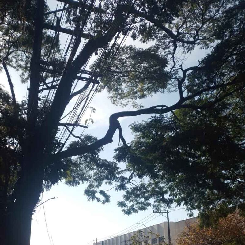 Imagem da publicação