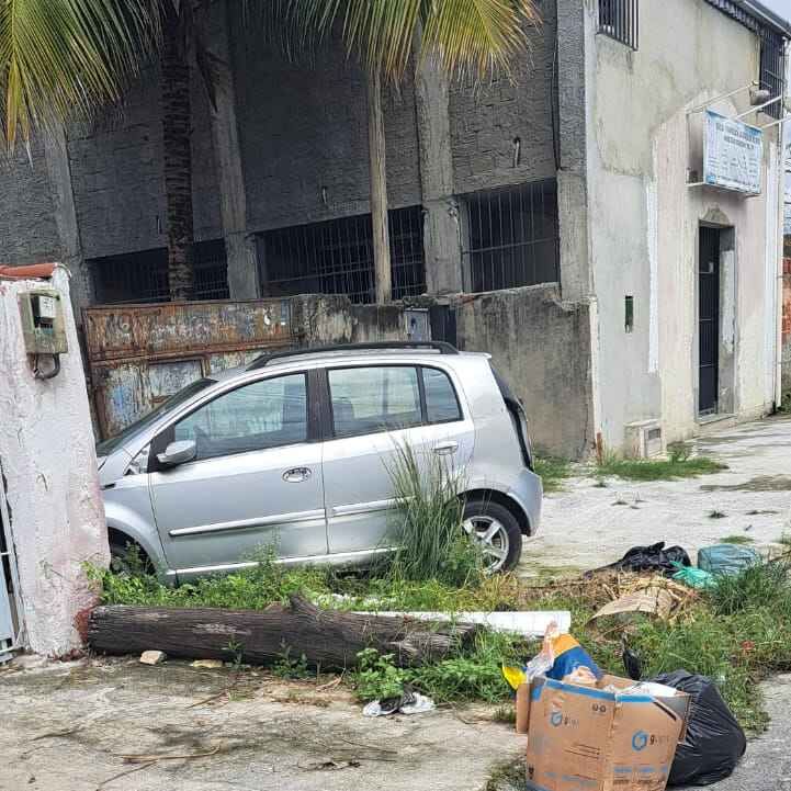 Imagem da publicação