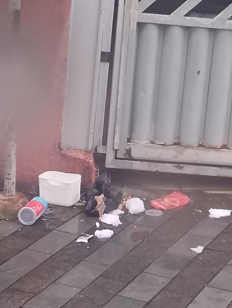 Imagem da publicação
