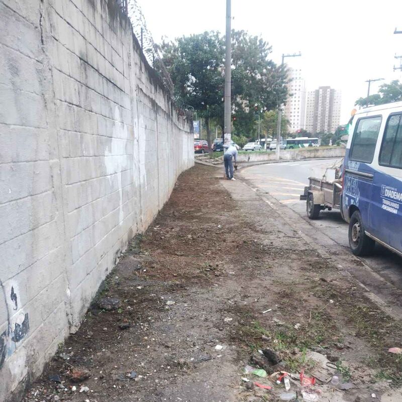 Imagem da publicação