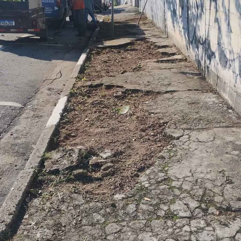Imagem da publicação