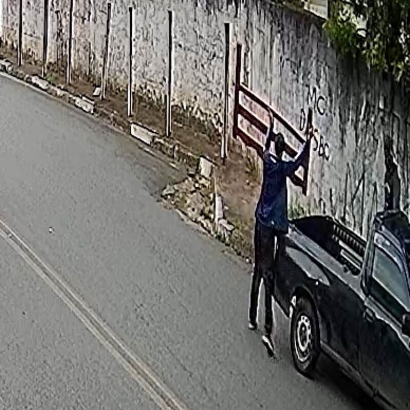 Imagem da publicação
