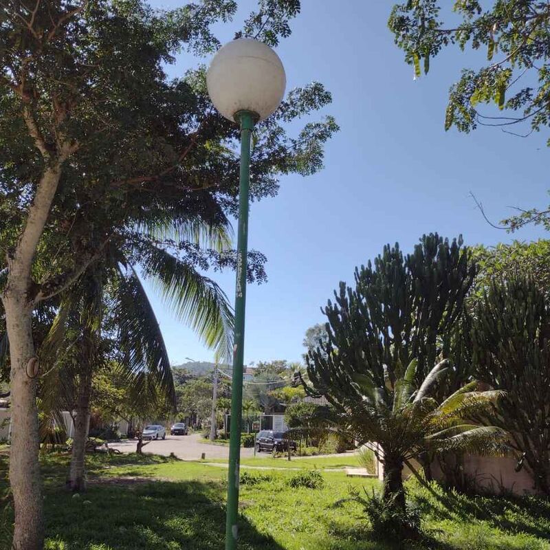 Imagem da publicação