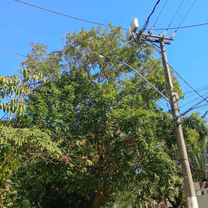 Imagem da publicação