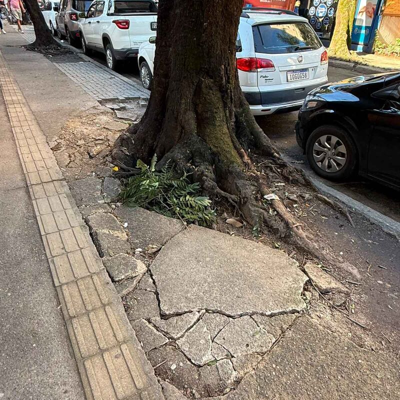 Imagem da publicação