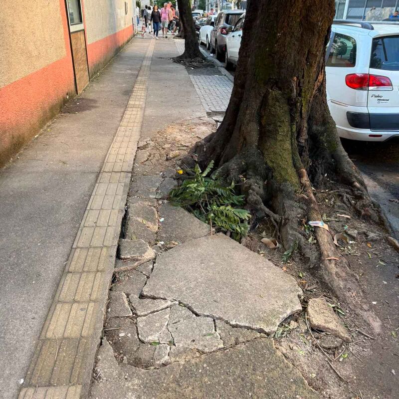 Imagem da publicação