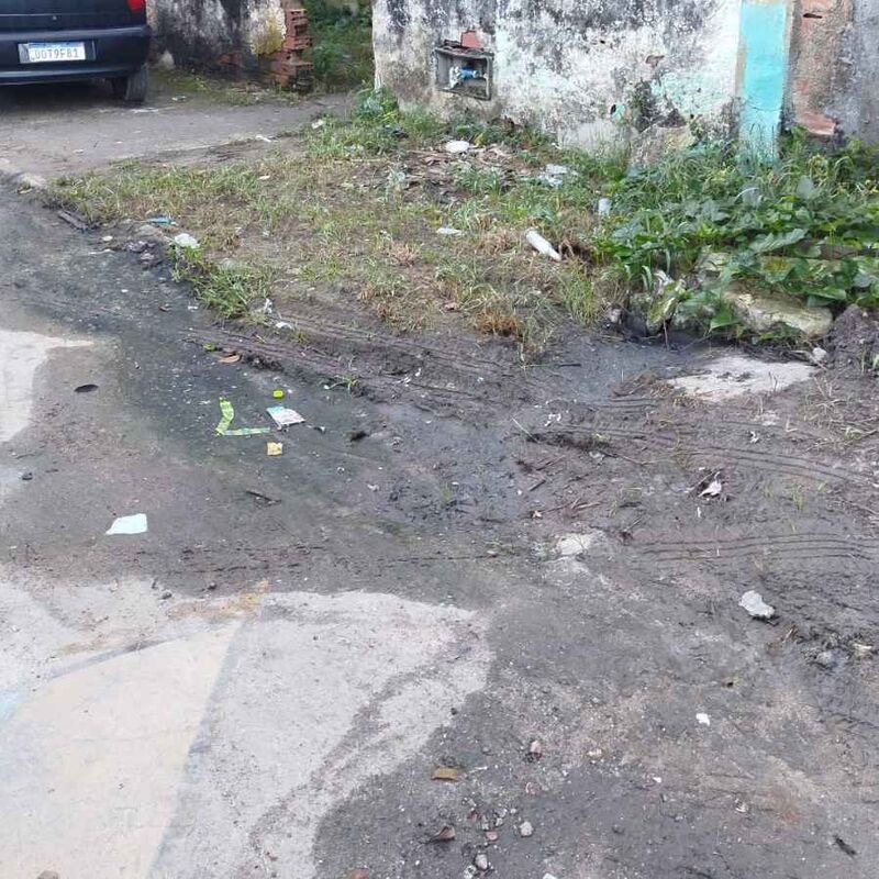 Imagem da publicação