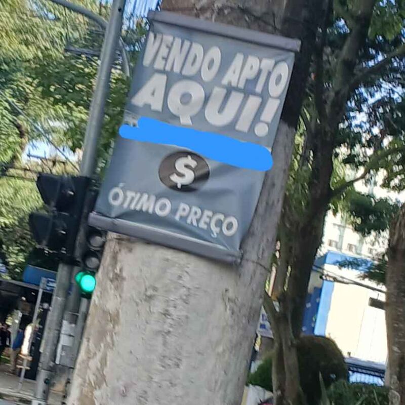 Imagem da publicação