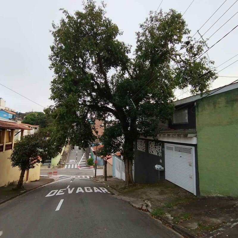 Imagem da publicação
