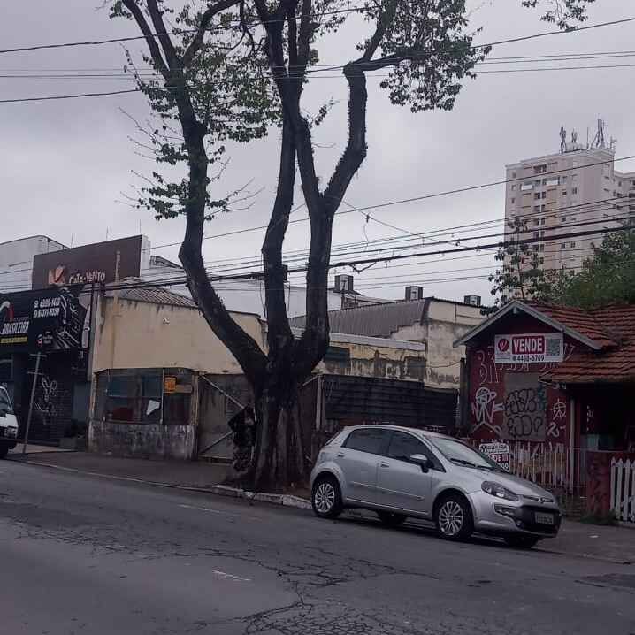 Imagem da publicação