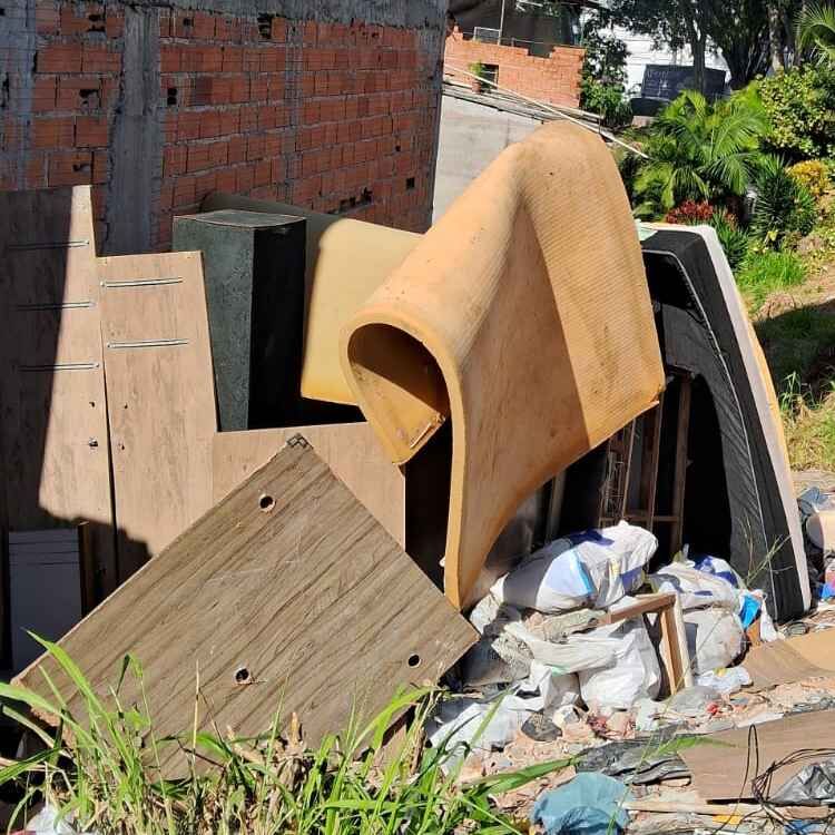 Imagem da publicação