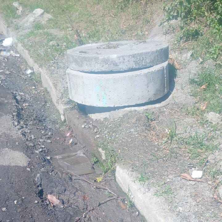 Imagem da publicação