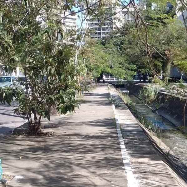 Imagem da publicação