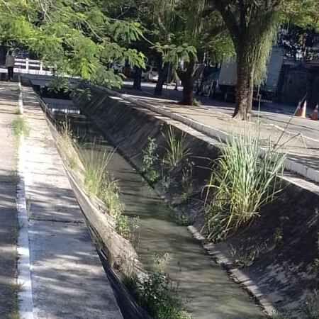 Imagem da publicação