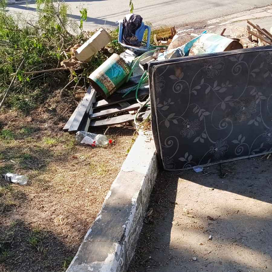 Imagem da publicação