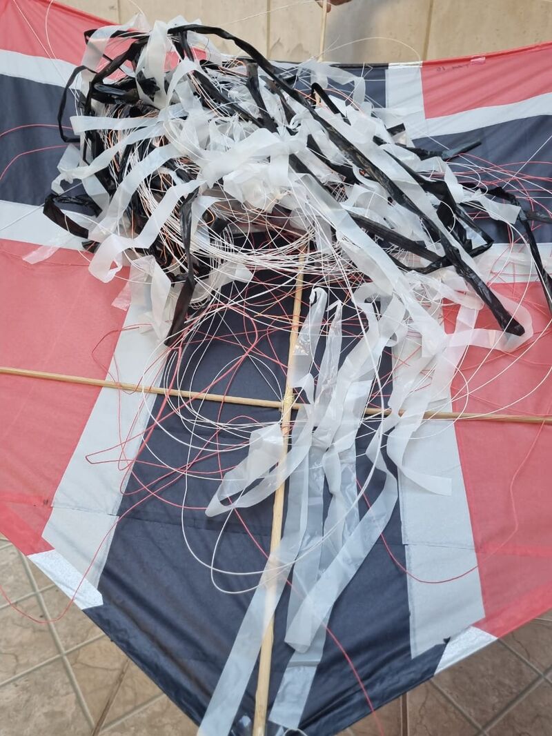 Imagem da publicação