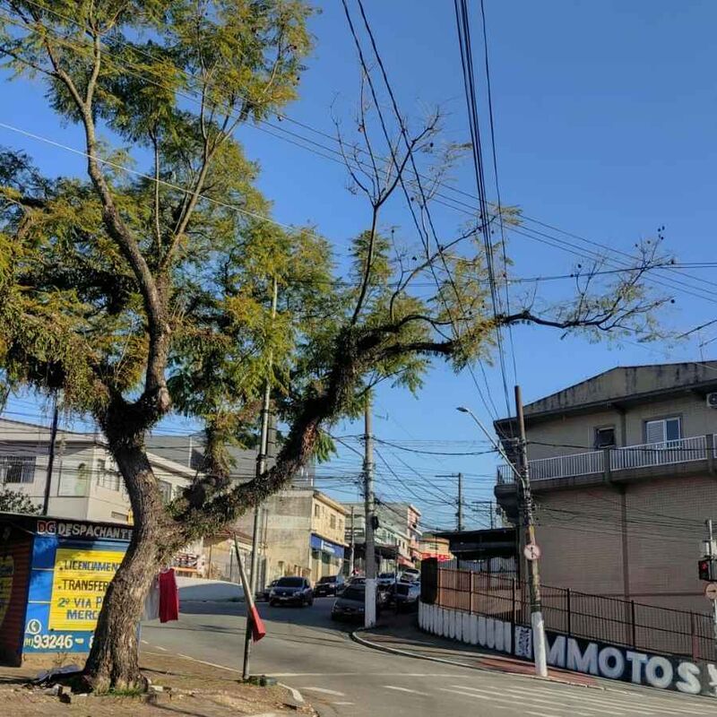Imagem da publicação