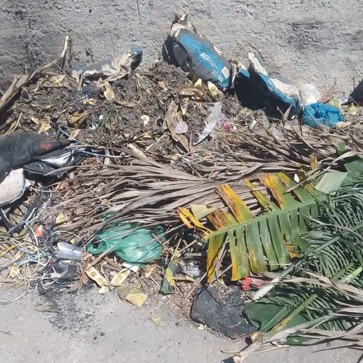 Imagem da publicação