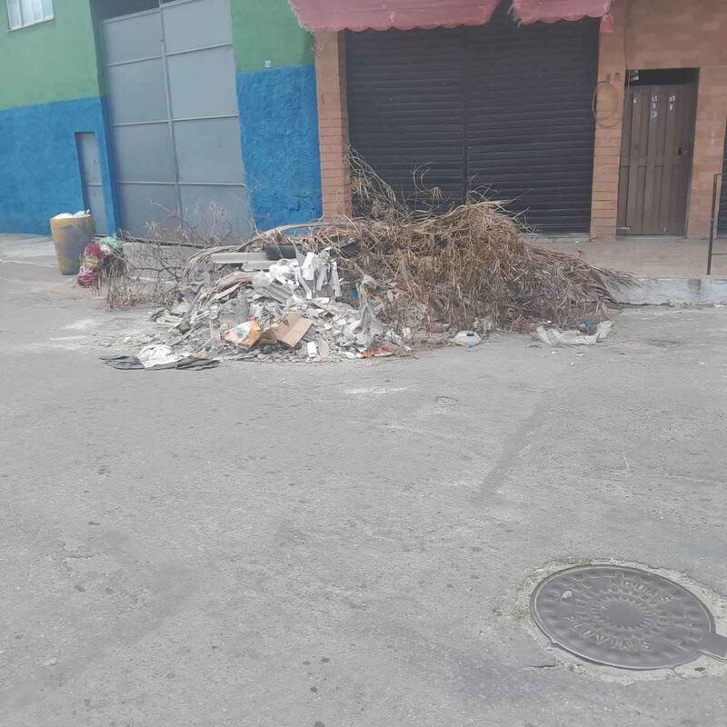 Imagem da publicação