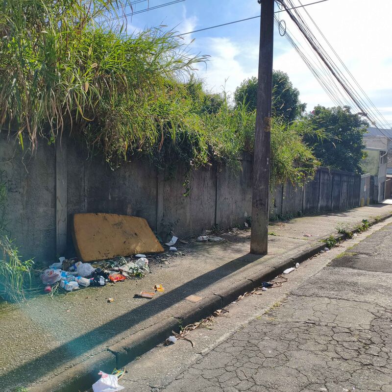 Imagem da publicação