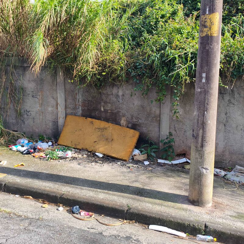 Imagem da publicação