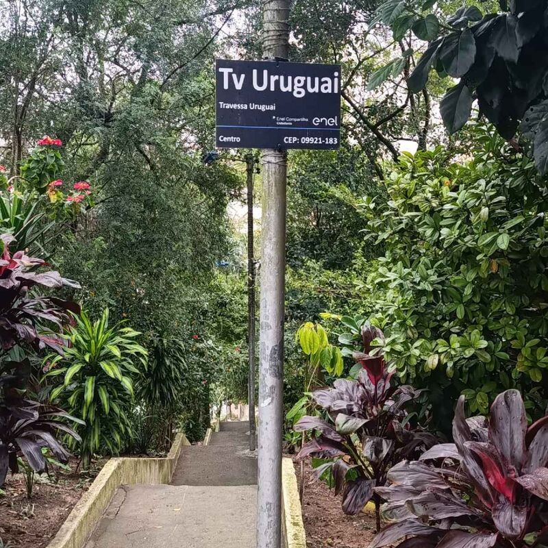 Imagem da publicação