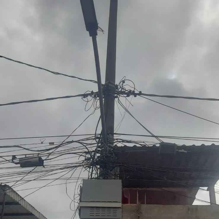 Imagem da publicação