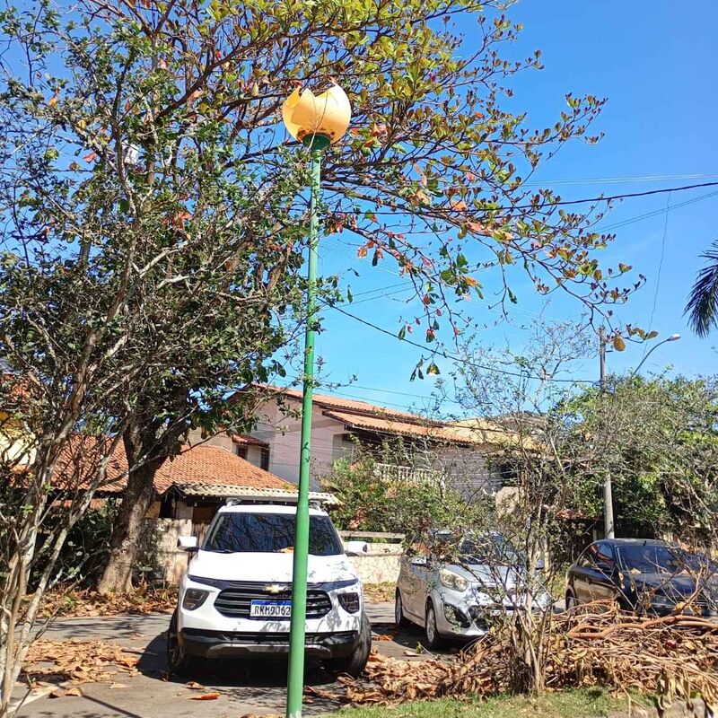 Imagem da publicação