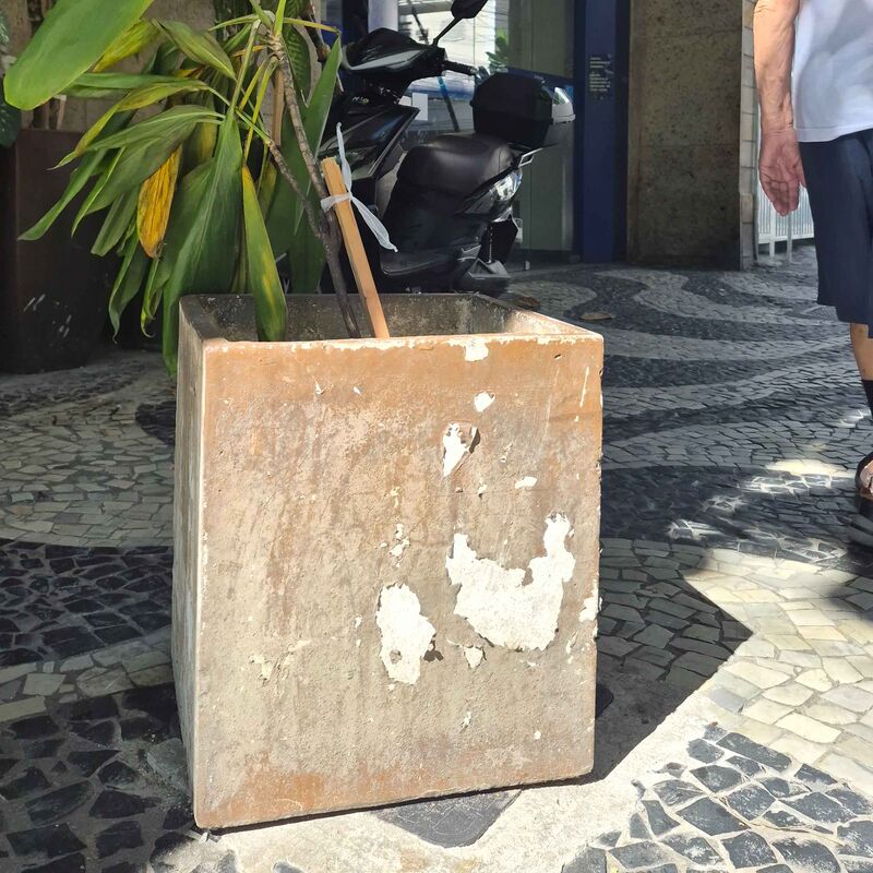 Imagem da publicação