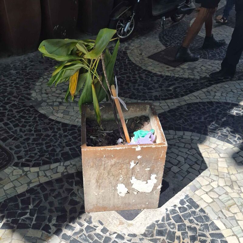 Imagem da publicação