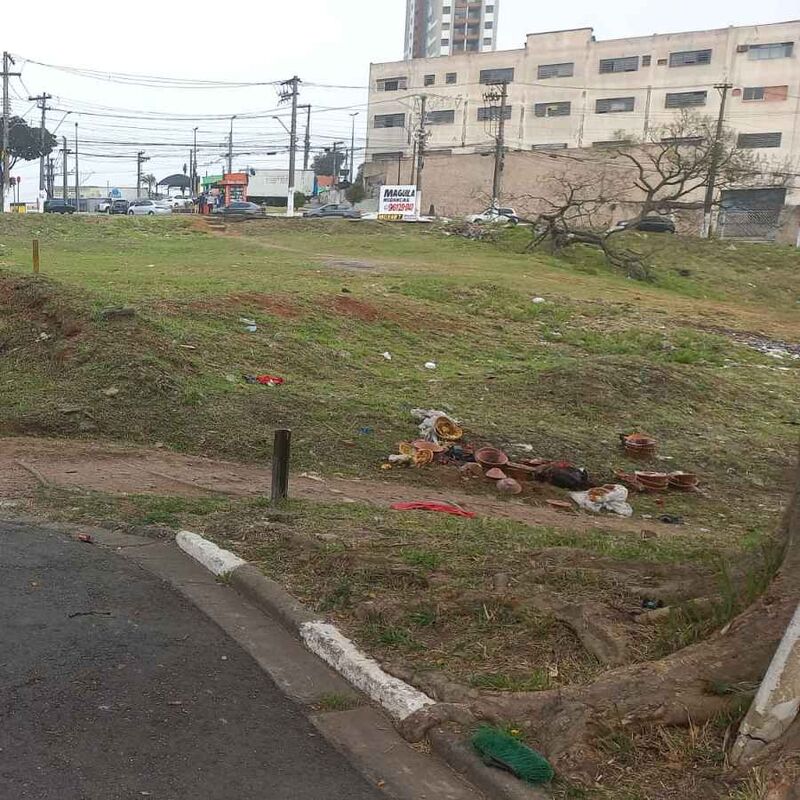 Imagem da publicação