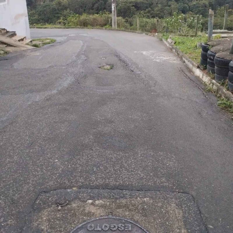 Imagem da publicação