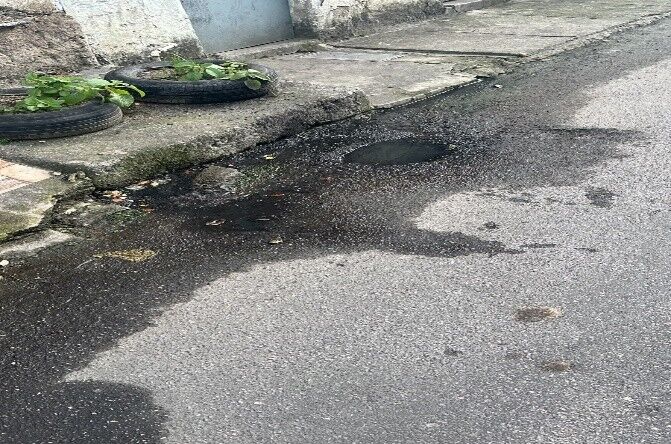 Imagem da publicação