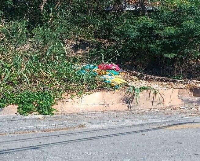 Imagem da publicação