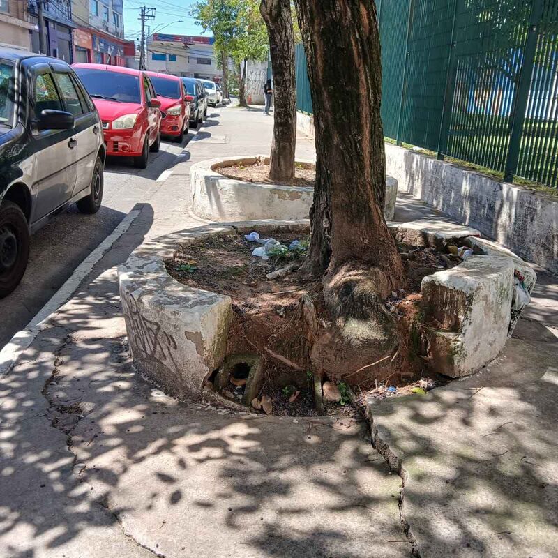 Imagem da publicação