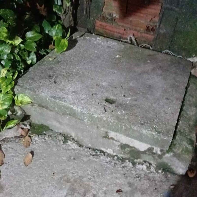 Imagem da publicação