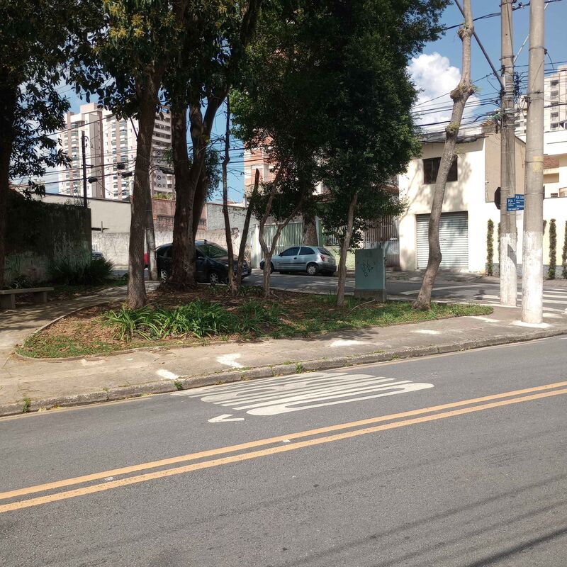 Imagem da publicação
