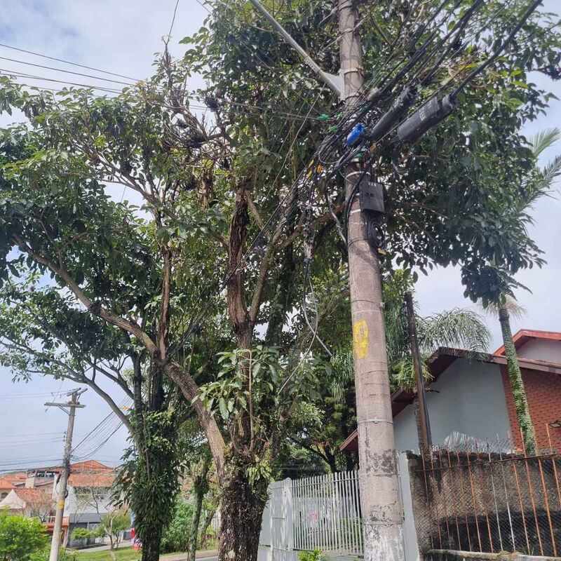 Imagem da publicação