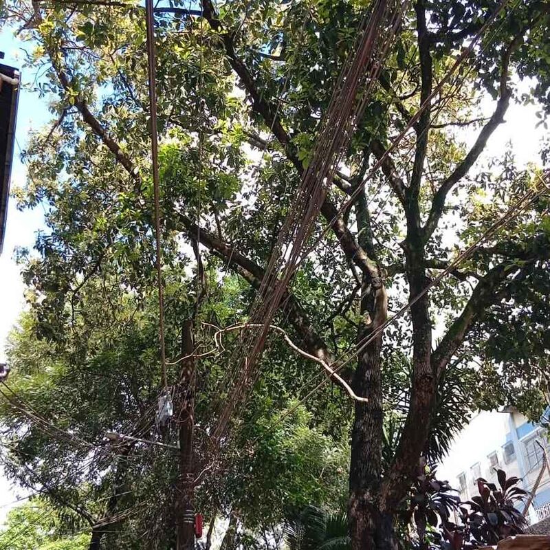 Imagem da publicação