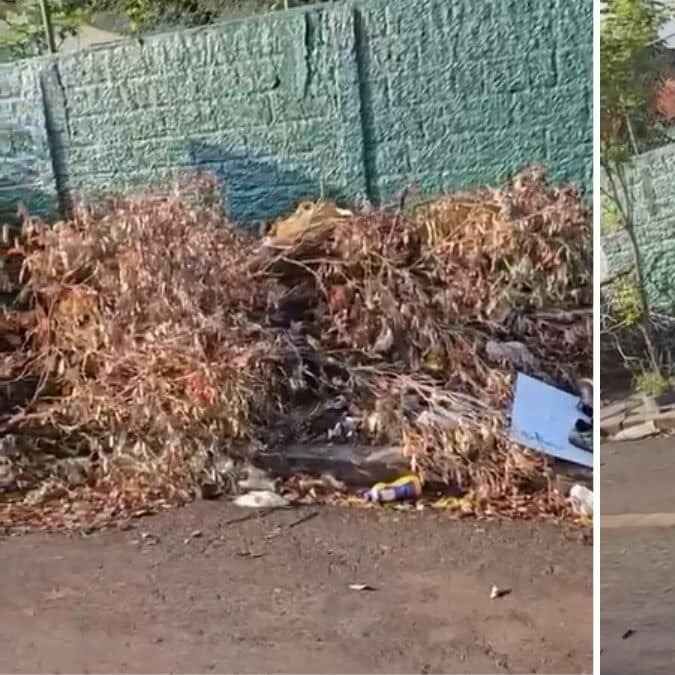 Imagem da publicação