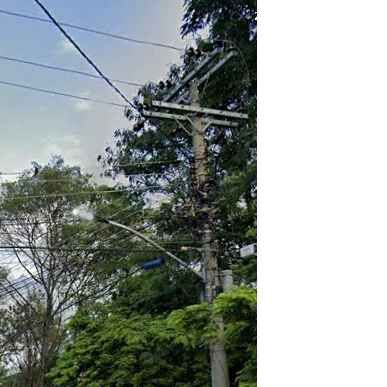 Imagem da publicação