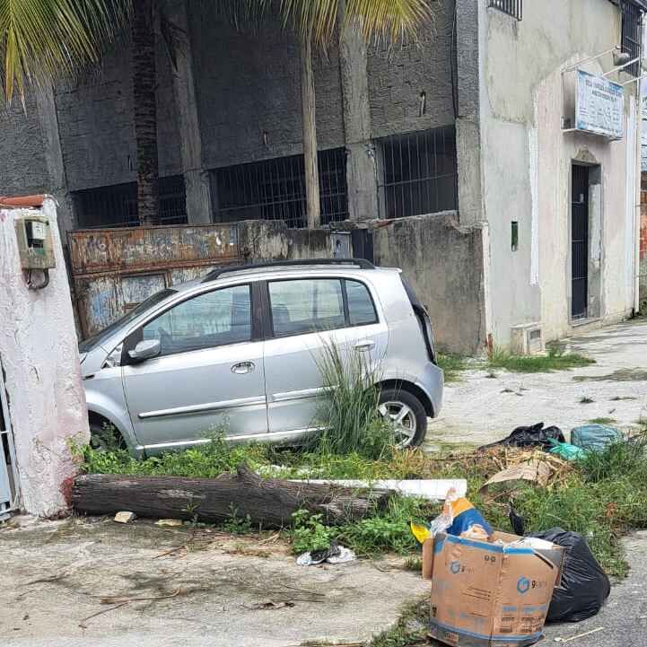 Imagem da publicação
