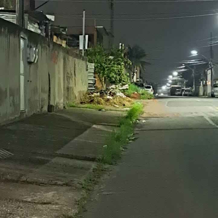 Imagem da publicação