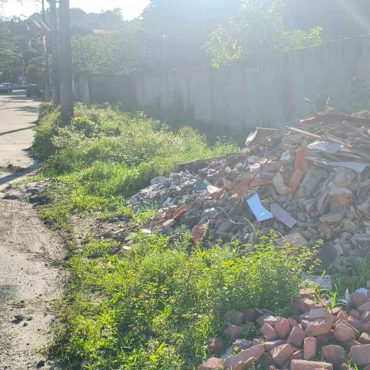 Imagem da publicação