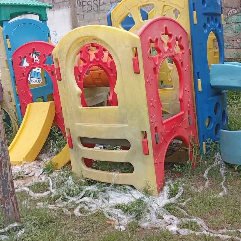 Imagem da publicação